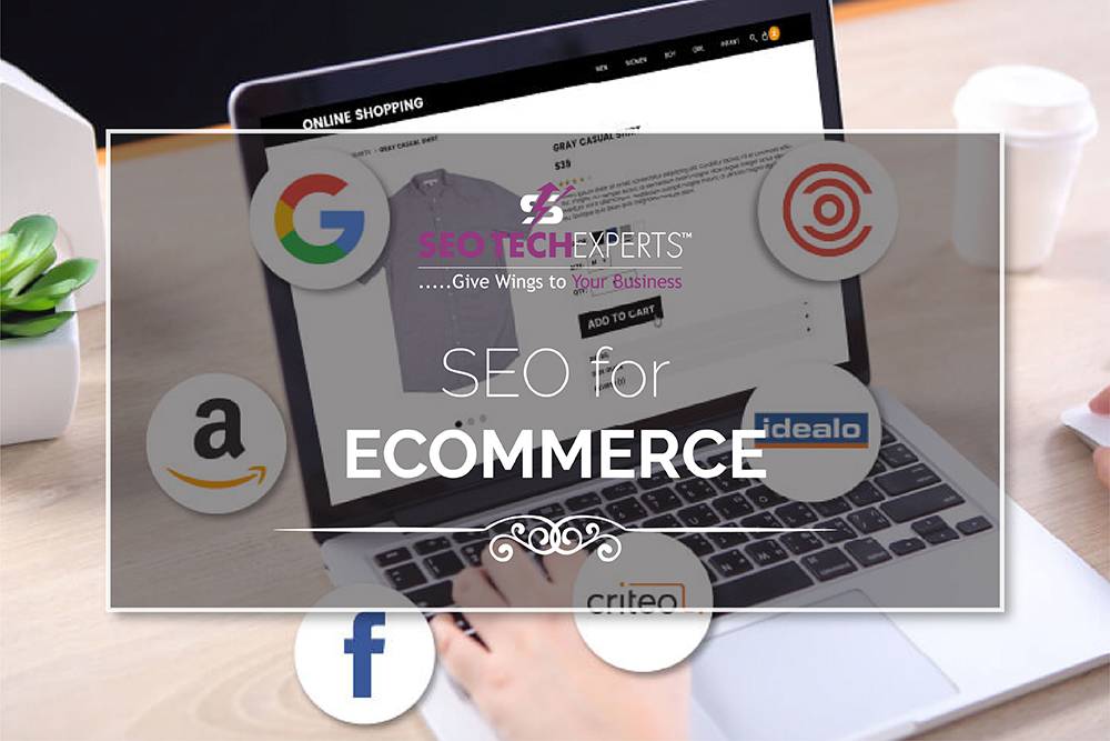 SEO Services for Ecommerce in Gurgaon