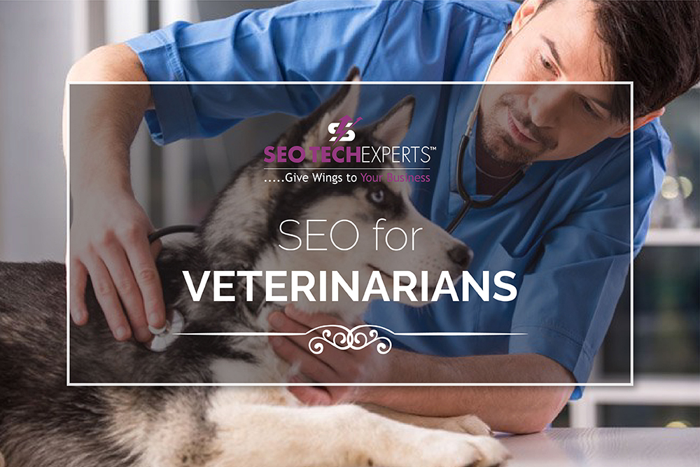 SEO Services for Veterinarians in Gurgaon