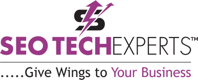 SEO Company in gurgaon